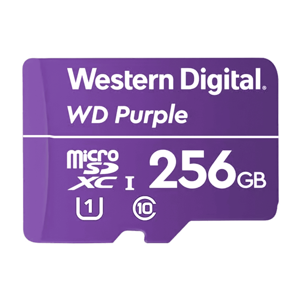 MicroSD 256GB videovigilancia
