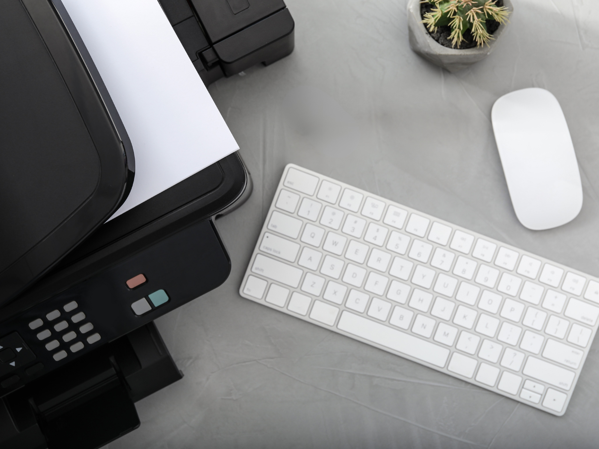 Impresoras, mouse y teclados